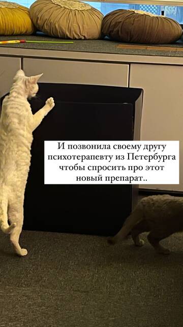 https://forumupload.ru/uploads/001b/92/d8/1246/t645408.jpg