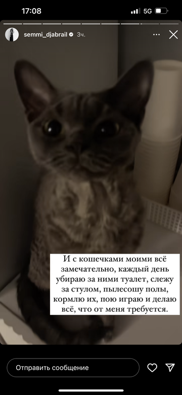 https://forumupload.ru/uploads/001b/92/d8/1295/t330836.png