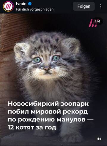 https://forumupload.ru/uploads/001b/92/d8/1315/t801266.jpg