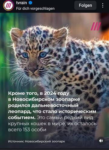 https://forumupload.ru/uploads/001b/92/d8/1315/t851221.jpg