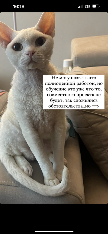 https://forumupload.ru/uploads/001b/92/d8/1355/t400443.png