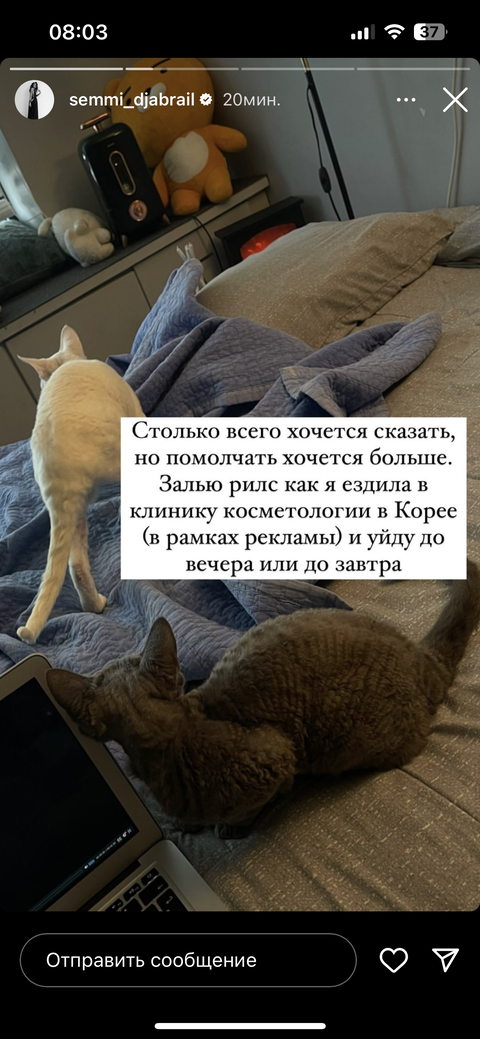 https://forumupload.ru/uploads/001b/92/d8/1465/t15102.png