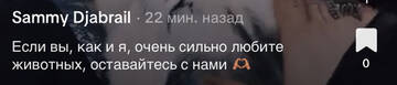 https://forumupload.ru/uploads/001b/92/d8/1750/t146683.jpg