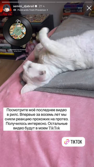 https://forumupload.ru/uploads/001b/92/d8/1750/t450588.jpg