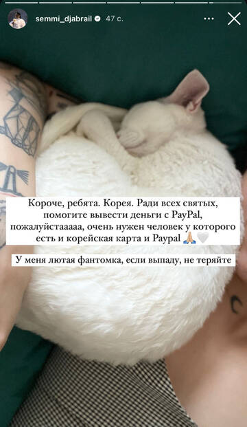 https://forumupload.ru/uploads/001b/92/d8/1750/t809951.jpg