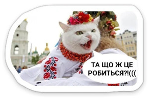 https://forumupload.ru/uploads/001b/92/d8/834/t235873.jpg