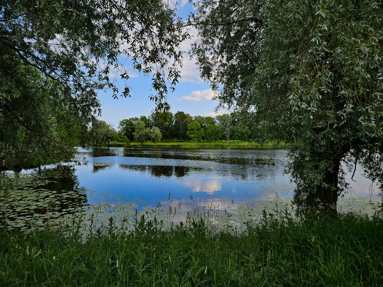 https://forumupload.ru/uploads/001b/97/ef/33/160254.jpg