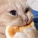 https://forumupload.ru/uploads/001b/9c/16/3/627575.png