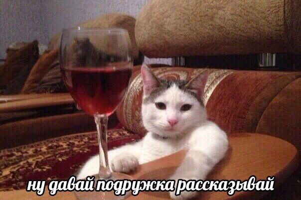 https://forumupload.ru/uploads/001b/9c/16/3/926964.jpg