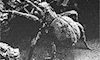 https://forumupload.ru/uploads/001b/9f/23/5/316683.gif