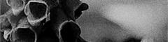 https://forumupload.ru/uploads/001b/9f/23/5/505212.gif