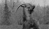https://forumupload.ru/uploads/001b/9f/23/5/63251.gif