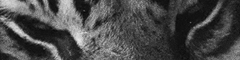 https://forumupload.ru/uploads/001b/9f/23/5/865119.gif