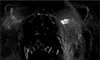 https://forumupload.ru/uploads/001b/9f/23/5/872253.gif