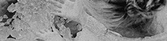 https://forumupload.ru/uploads/001b/9f/23/5/t267391.gif