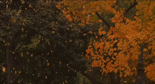 https://forumupload.ru/uploads/001b/a1/c4/26/637391.gif