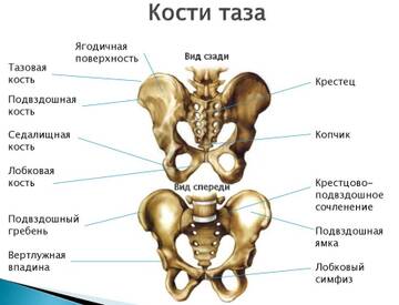 https://forumupload.ru/uploads/001b/a3/de/2/t452328.jpg