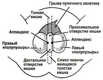 https://forumupload.ru/uploads/001b/a3/de/2/t508130.jpg