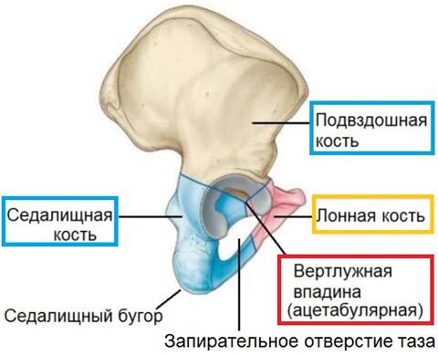 https://forumupload.ru/uploads/001b/a3/de/2/t639048.jpg