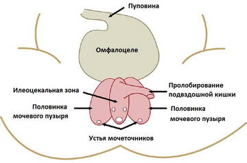 https://forumupload.ru/uploads/001b/a3/de/2/t683830.jpg