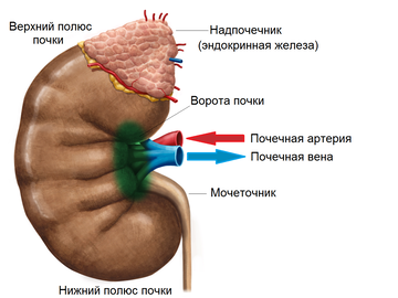 https://forumupload.ru/uploads/001b/a3/de/2/t892697.png