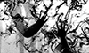 https://forumupload.ru/uploads/001b/ac/e0/5/479994.gif