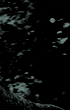 https://forumupload.ru/uploads/001b/ad/ff/2/448384.gif