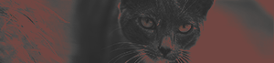 https://forumupload.ru/uploads/001b/bd/30/17/557223.png