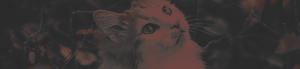 https://forumupload.ru/uploads/001b/bd/30/17/675934.png