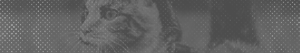 https://forumupload.ru/uploads/001b/bd/30/17/72059.png