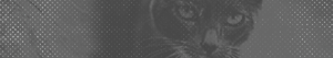 https://forumupload.ru/uploads/001b/bd/30/17/849595.png