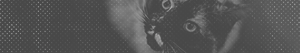 https://forumupload.ru/uploads/001b/bd/30/17/864098.png
