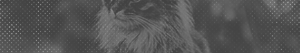 https://forumupload.ru/uploads/001b/bd/30/17/87899.png