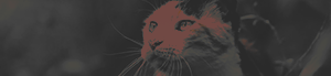 https://forumupload.ru/uploads/001b/bd/30/59/202821.png