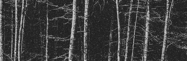 https://forumupload.ru/uploads/001b/bd/30/59/344313.gif