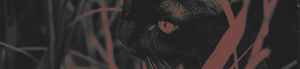 https://forumupload.ru/uploads/001b/bd/30/59/606617.png