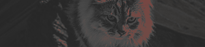 https://forumupload.ru/uploads/001b/bd/30/59/789439.png