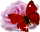 https://forumupload.ru/uploads/001b/d5/29/2/t189013.gif