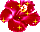 https://forumupload.ru/uploads/001b/d5/29/2/t247091.gif
