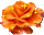 https://forumupload.ru/uploads/001b/d5/29/2/t345696.gif