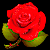 https://forumupload.ru/uploads/001b/d5/29/2/t402234.gif