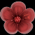 https://forumupload.ru/uploads/001b/d5/29/2/t786441.gif