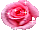 https://forumupload.ru/uploads/001b/d5/29/2/t986924.gif