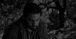 https://forumupload.ru/uploads/001b/dc/4d/341/692176.gif