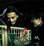 https://forumupload.ru/uploads/001b/dc/dc/322/t415372.gif