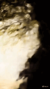 https://forumupload.ru/uploads/001b/e4/17/52/t922347.gif