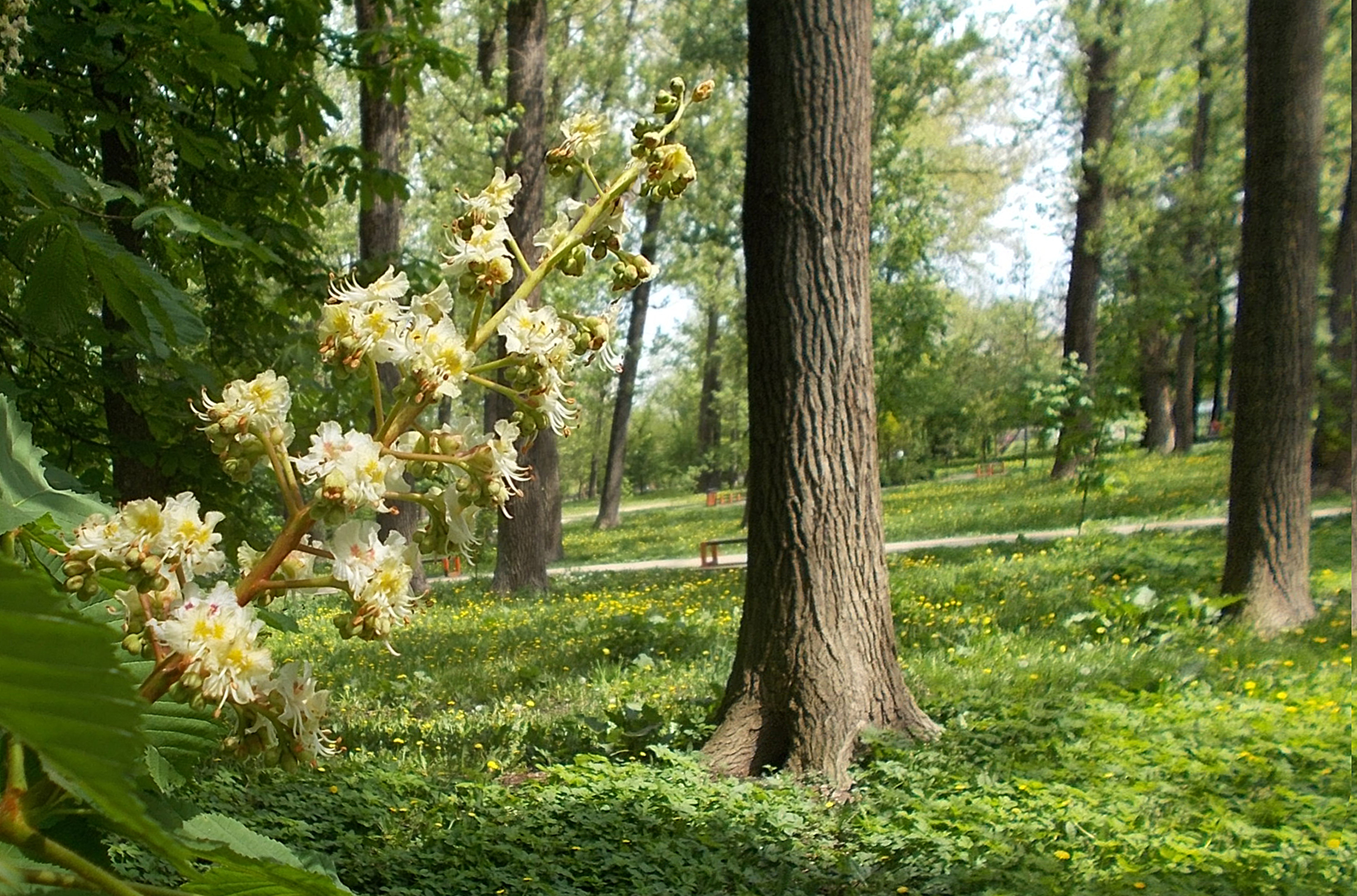 https://forumupload.ru/uploads/001b/e5/71/3/174469.jpg