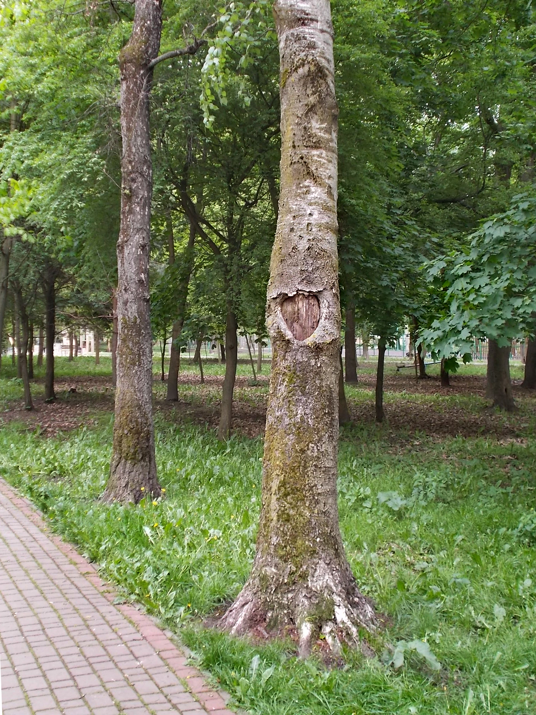 https://forumupload.ru/uploads/001b/e5/71/3/214645.jpg