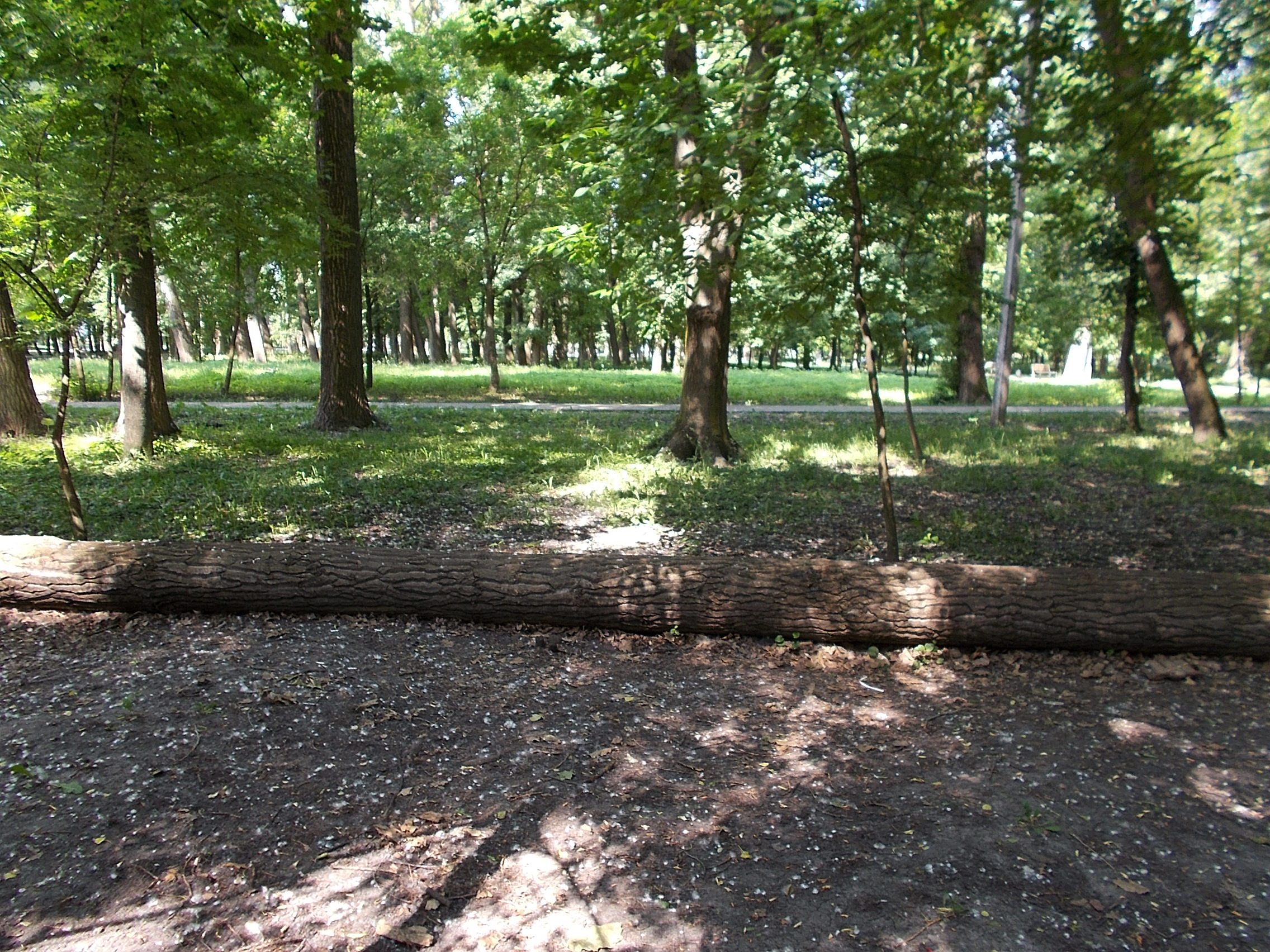 https://forumupload.ru/uploads/001b/e5/71/3/297108.jpg