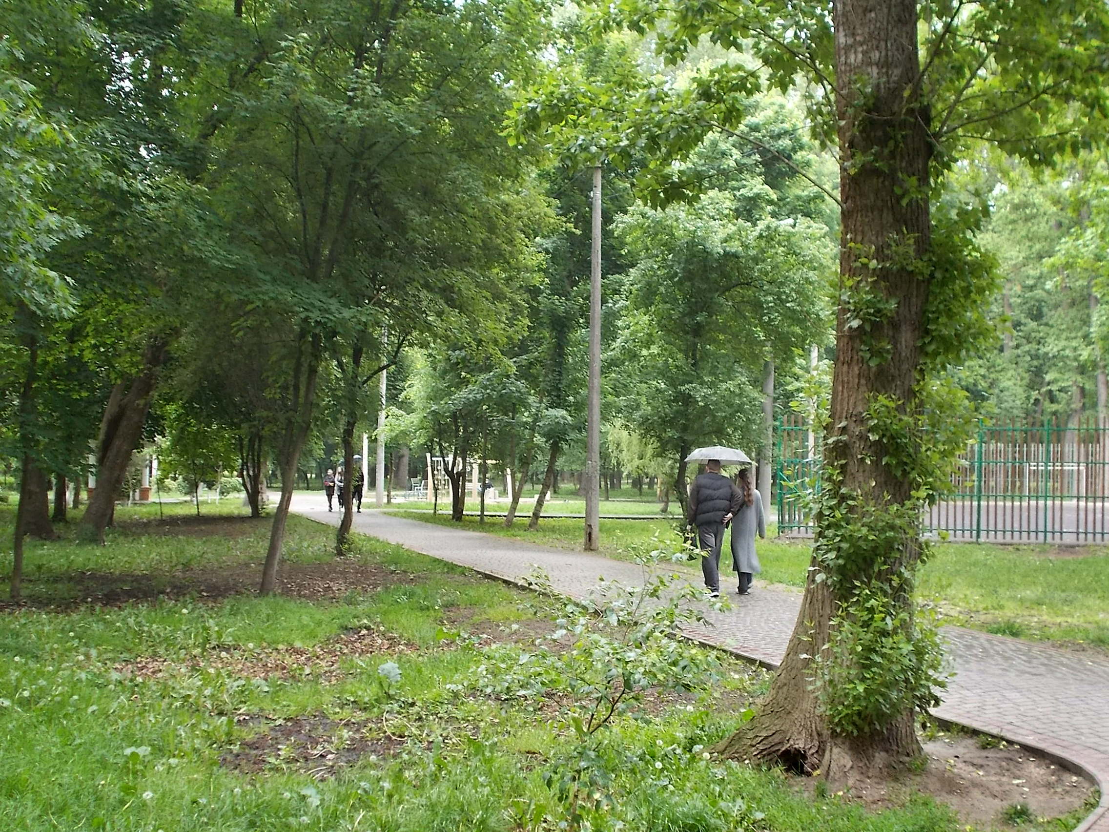 https://forumupload.ru/uploads/001b/e5/71/3/575465.jpg